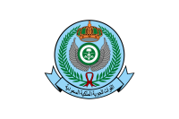 Royal saudi air defence force