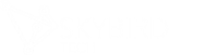 Skybird technologies