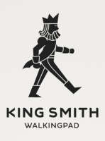 Kingsmith walkingpad