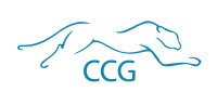 Ccg cool chain group holding ag