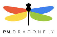 Dragon fly global marketing